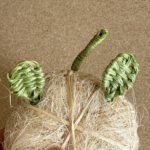 NWOT Handcrafted Natural Materials Turtle Loofas - Picture 4 of 14